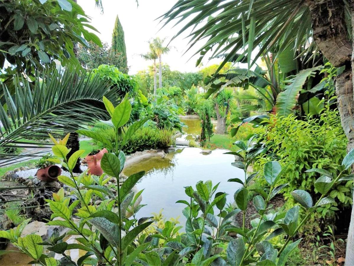 With 2 Bedrooms In With Shared Pool Furnished Terrace And Wifi 300 M From The Beach *